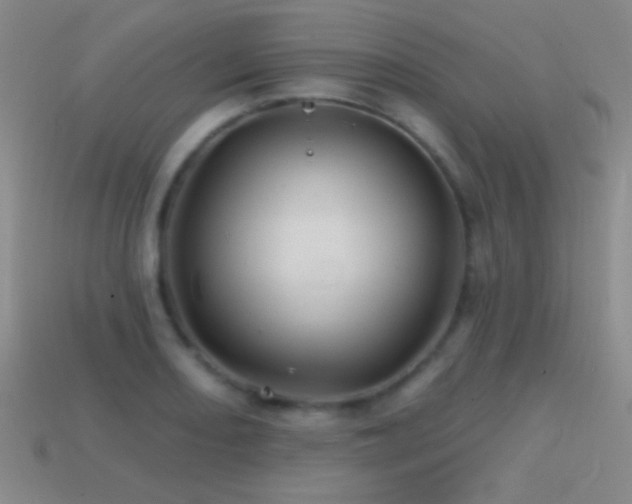 X0000114401082200910161310