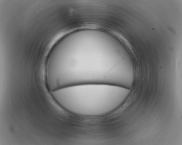 X0000114401083200910161310