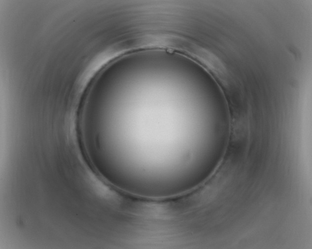 X0000114401086200910161310