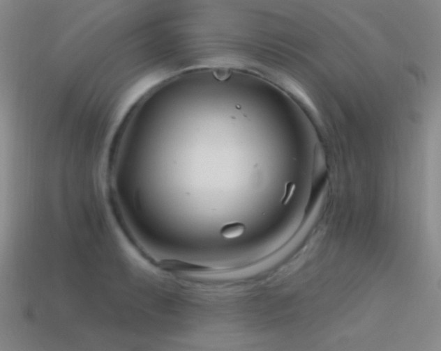 X0000114401087200910161310