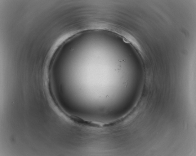 X0000114401088200910161310