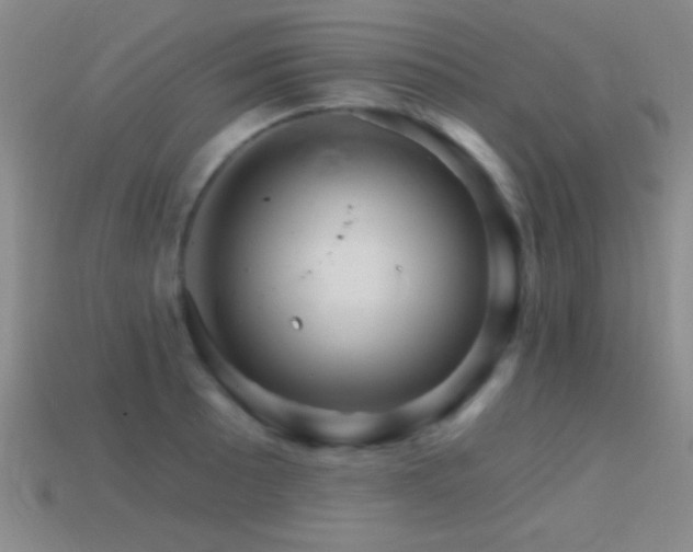 X0000114401089200910161310