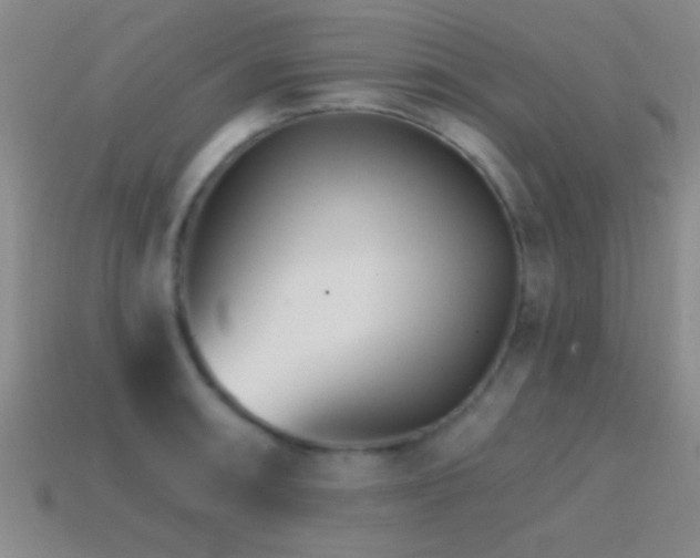 X0000114401090200910161310