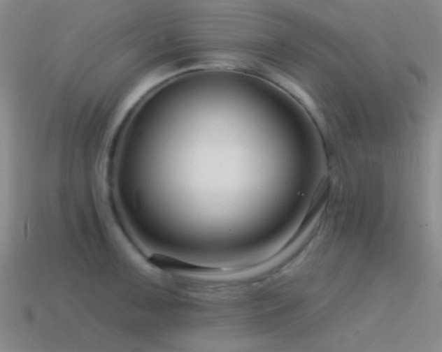 X0000114401091200910161310