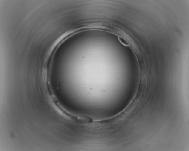 X0000114401092200910161310