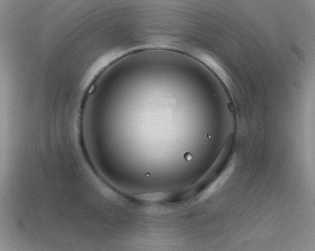 X0000114401093200910161310