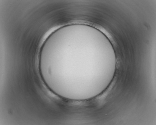 X0000114401094200910161310