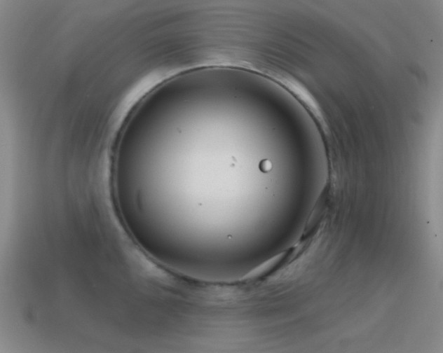 X0000114401096200910161310