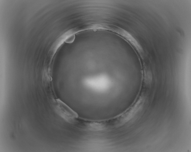 X0000114401097200910161310