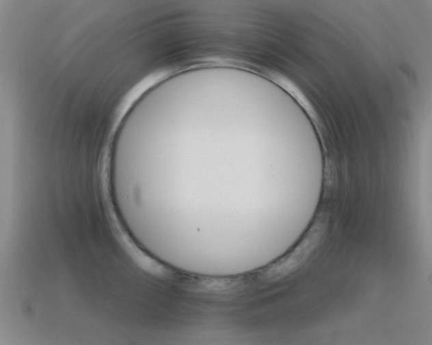 X0000114401098200910161310