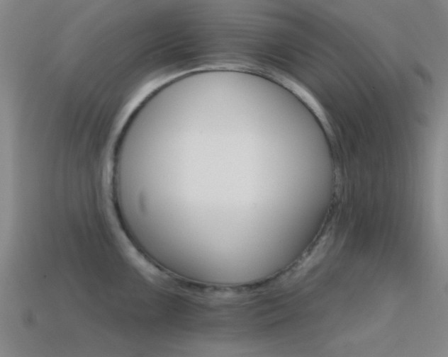 X0000114401099200910161310