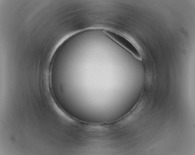 X0000114401100200910161310