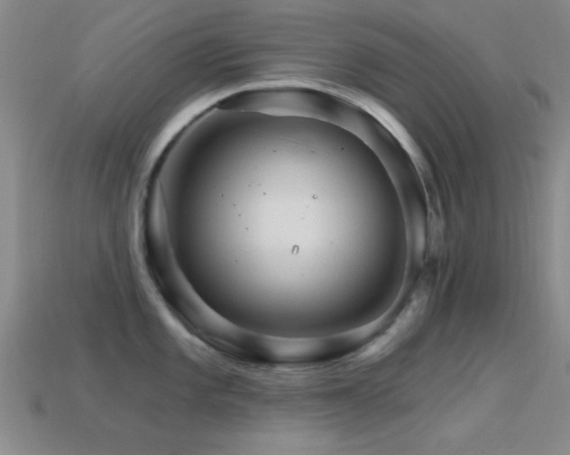 X0000114401101200910161310