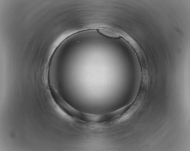 X0000114401102200910161310