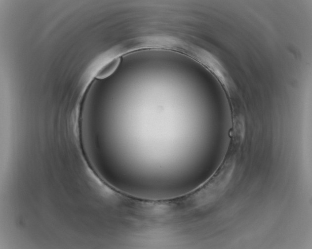 X0000114401103200910161310