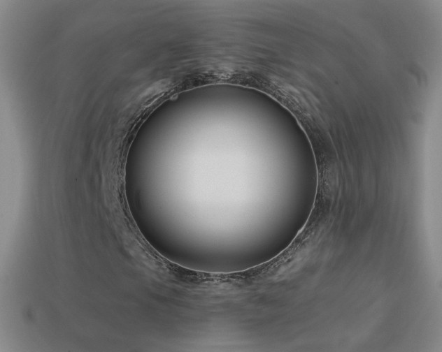 X0000114401105200910161309