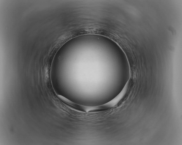 X0000114401106200910161309