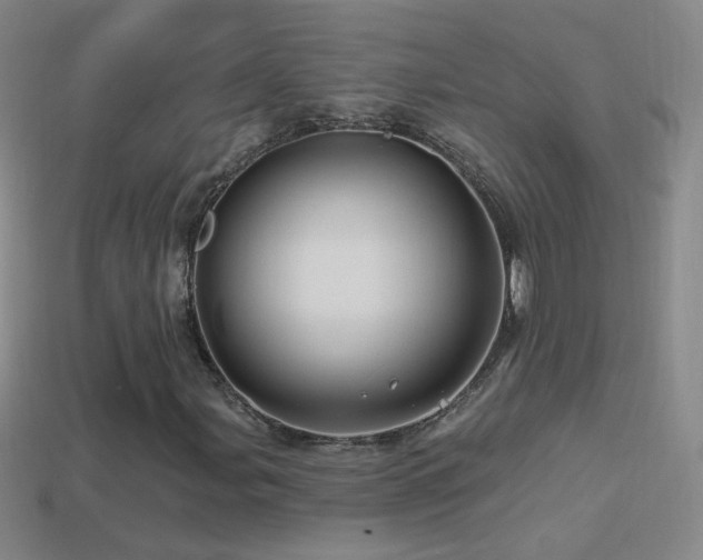 X0000114401107200910161309