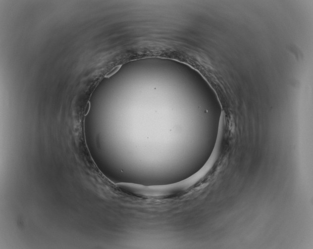 X0000114401109200910161309