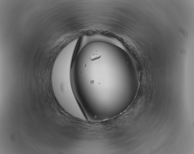 X0000114401110200910161309