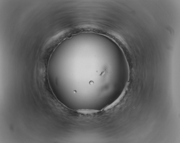 X0000114401111200910161309