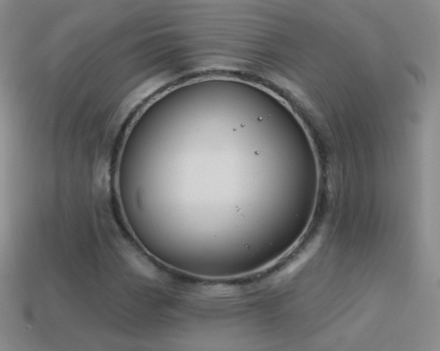 X0000114401113200910161309