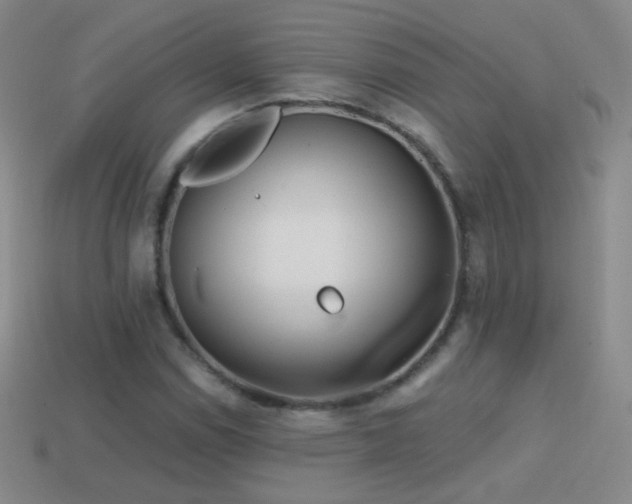 X0000114401114200910161309