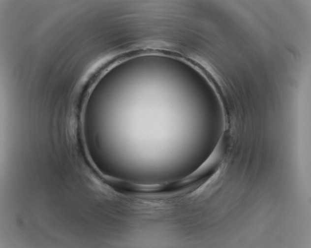 X0000114401115200910161309