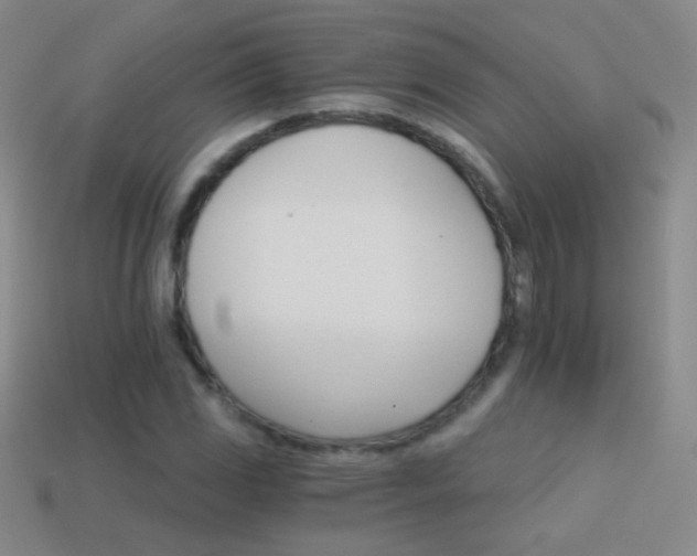 X0000114401117200910161309