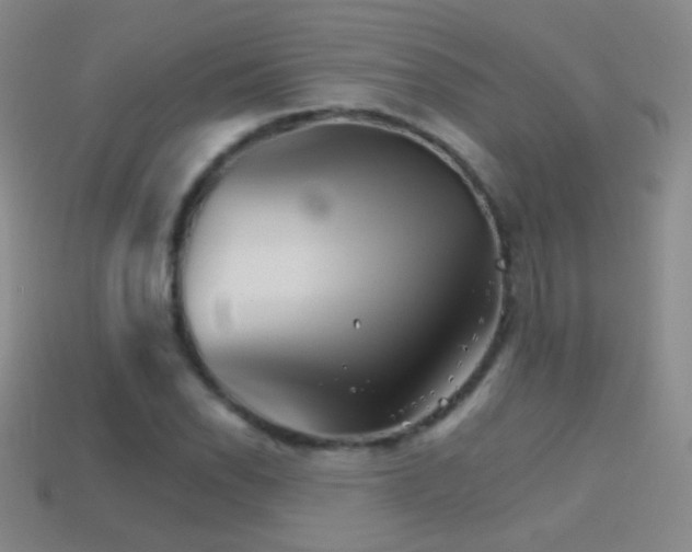 X0000114401118200910161309