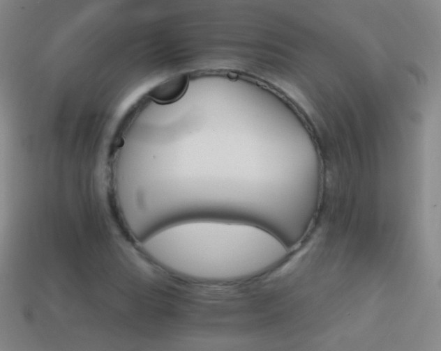 X0000114401119200910161309