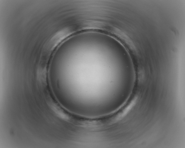 X0000114401121200910161309