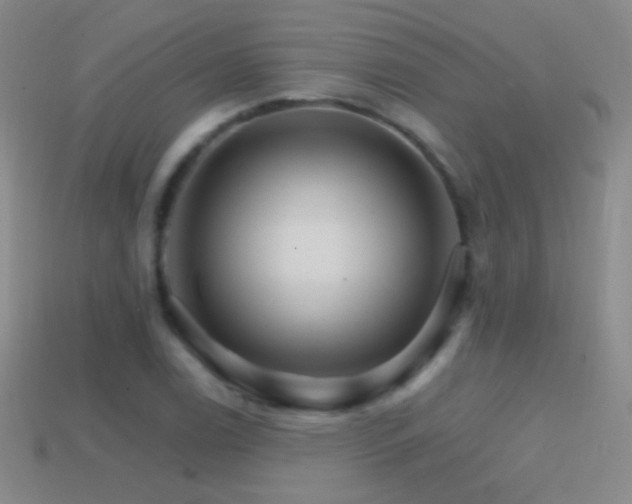 X0000114401122200910161309