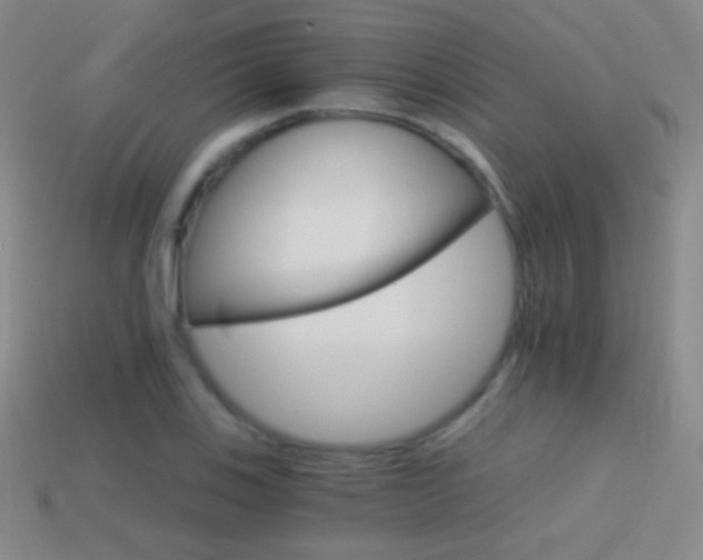 X0000114401123200910161309