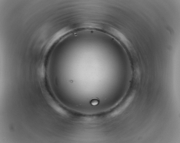 X0000114401125200910161309