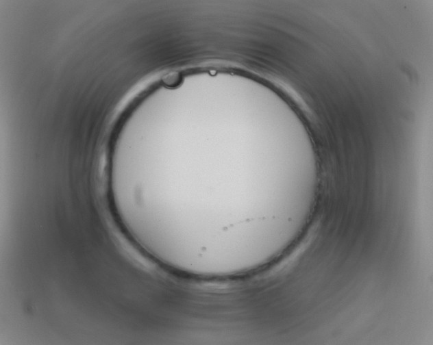 X0000114401126200910161309