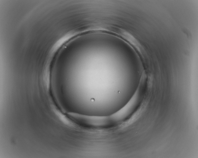 X0000114401127200910161309