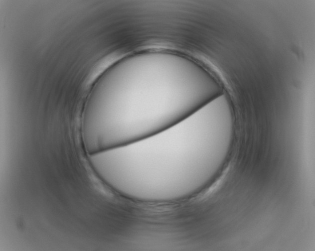 X0000114401129200910161309