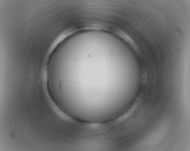 X0000114401130200910161309