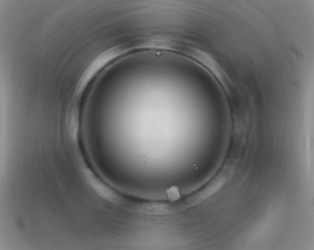 X0000114401131200910161309