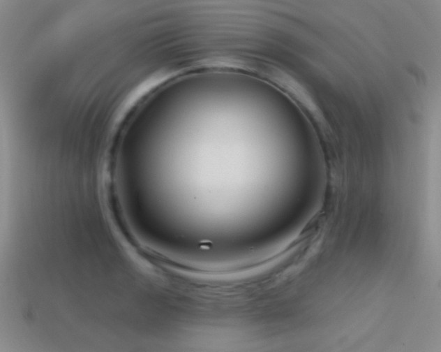 X0000114401133200910161309