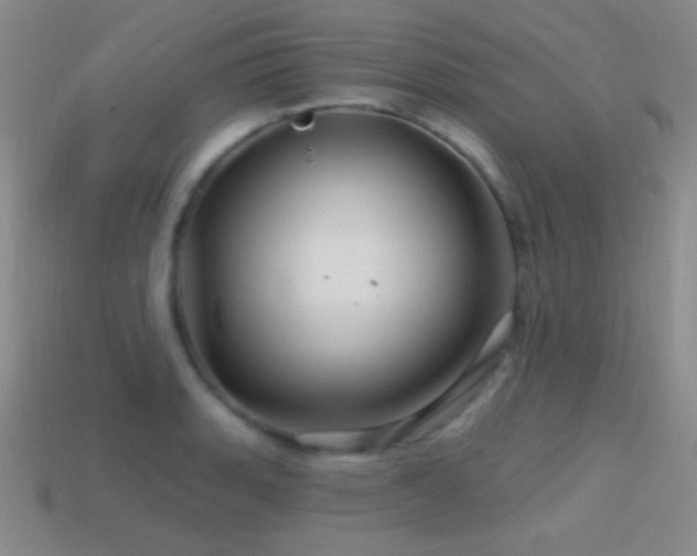 X0000114401135200910161309