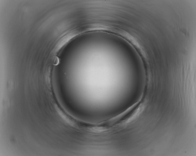 X0000114401137200910161309