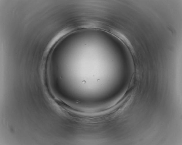 X0000114401138200910161310