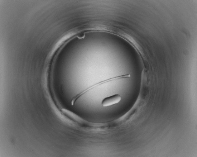 X0000114401139200910161310