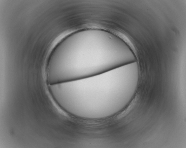 X0000114401141200910161310