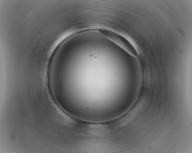 X0000114401142200910161310