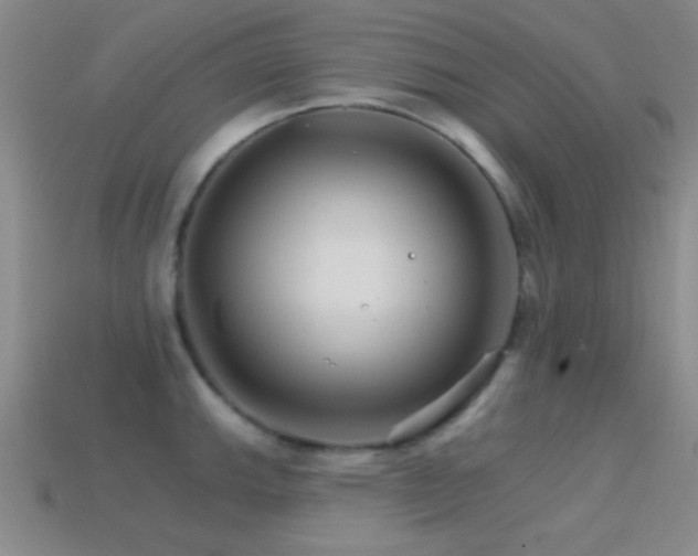 X0000114401143200910161310