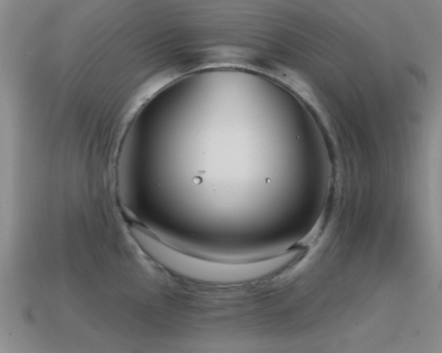 X0000114401145200910161310