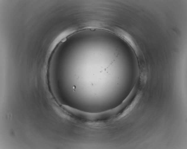 X0000114401146200910161310